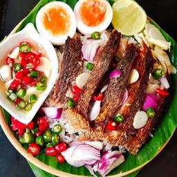 ข้าวราดเนื้อปลากระพงแกะ+ไข่ต้ม