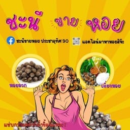 ชะนีขายหอย ประชาอุทิศ 90