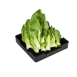 ผักฮ่องเต้