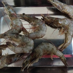 กุ้ง 100 กรัม