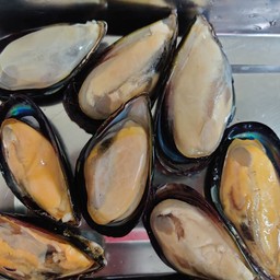 หอยชิลี 100 กรัม