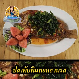 ปลาทับทิมสามรส