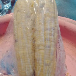 ข้าวโพดข้าวเหนียว