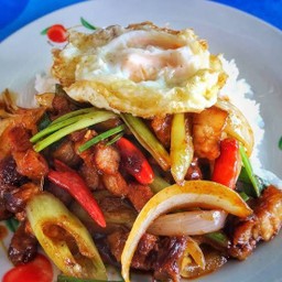 ข้าวราดผัดน้ำพริกเผา+ไข่ดาว
