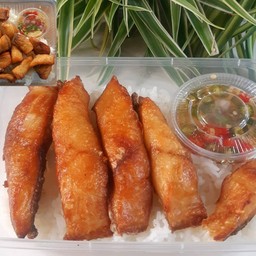 ข้าวปลานิล แดดเดียว