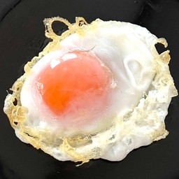 ไข่เป็ดดาว