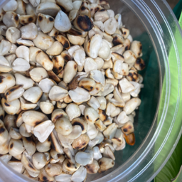 ถั่วลิสง