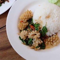 กระเพราลุยไฟ ก้อยตามสั่ง