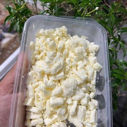 ชีสกล่อง