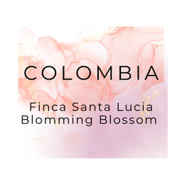 PSM LAb Specialty Coffee