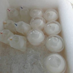 ตาวีมะพร้าวน้ำหอม