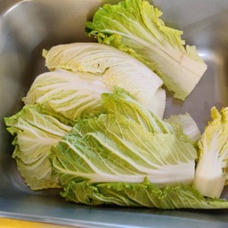 ผักกาดขาว 50 กรัม