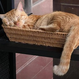 ค่าขนมน้องอ้วน