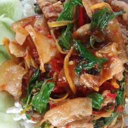 ข้าวราดผัดกระเพราหมูป่า