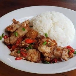 ครัวหมูกรอบ บางแวก 47 สาขา 8