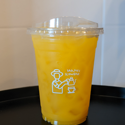 น้ำส้มวาเลนเซีย Valencia Orange 100%