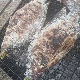 ดีเอ็ม.ก๋วยจั๊บญวณ