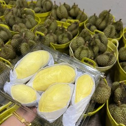 ทุเรียนหมอนทอง หนึ่งในล้าน