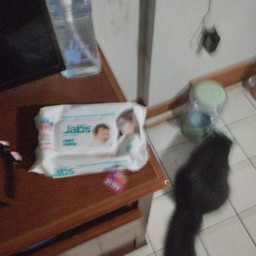 นายเค็ม กุ้งดองมะนาว&น้ำปลา