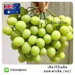 Sweet Globe องุ่นเขียว ออสเตรเลีย 500g