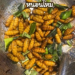 หนอนไหม ดักเด้