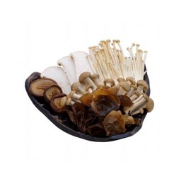 รวมมิตรเห็ด