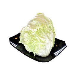 ผักกาดขาว