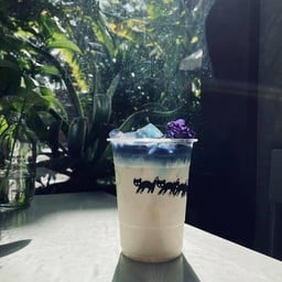 นมอัญชัน