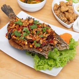 •ปลากระพงลุยสวน