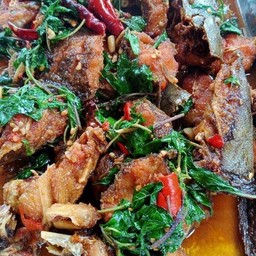 ปลาดุกผัดกระเพรา(กับข้าว)