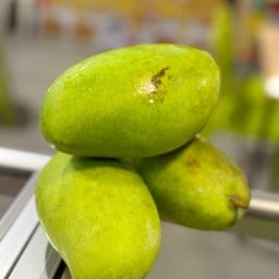 รัชชิผลไม้