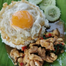 กะเพราไก่