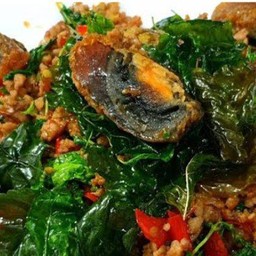 กะเพรา ไข่เยี่ยวม้า หมูสับ_ ราดข้าว