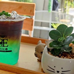 อเมริกาโน่มินท์