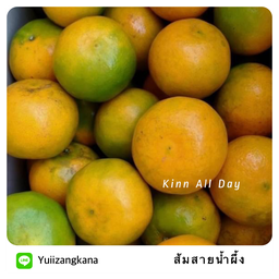 ส้มสายน้ำผึ้ง เชียงใหม่ เบอร์ 4