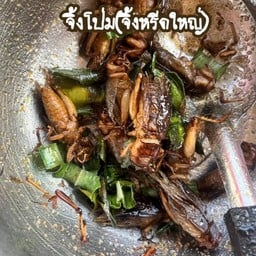 จิ้งโป่ม