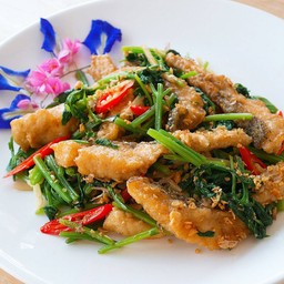 ปลากระพงผัดขึ้นช่าย
