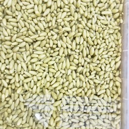 องุ่นดองพร้อมเกลือเค็มและกะปิ