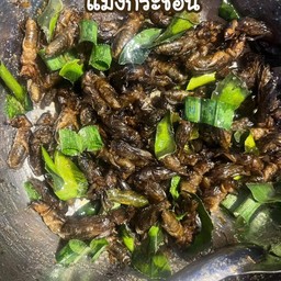 กระชอนทอด