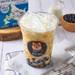 Dolphin Premium Milk Tea | ดอลฟินชานมไข่มุก ม.เกษตร-ศรีราชา