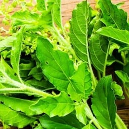 หอยทอดคุณยายตลาดฟ้าไทย ตลาดฟ้าไทย