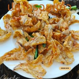 สินค้าพื้นเมืองเกาะยอ ปลากรอบสมุนไพร