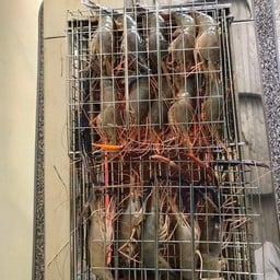 N&N กุ้งก้ามกราม สดและเผา สาขา1