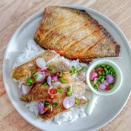 ข้าวปลาแดดเดียวทอด