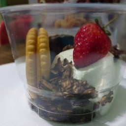 ฌ.ช้างดาว 2492