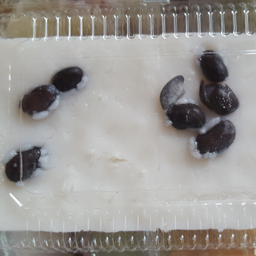 ข้าวเหนียวหน้ากะทิ