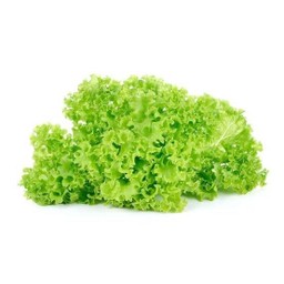 ผักกาดหอม