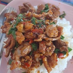 ข้าวกะเพราเครื่องในไก่