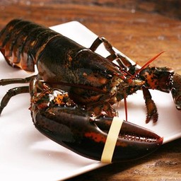 GRILLED   CANADIAN    LOBSTER