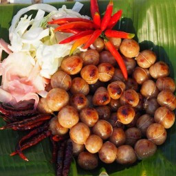 restaurantPhoto